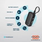 پاوربانک پاورولوژی