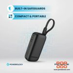 پاوربانک پاورولوژی