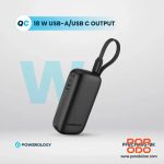 پاوربانک پاورولوژی